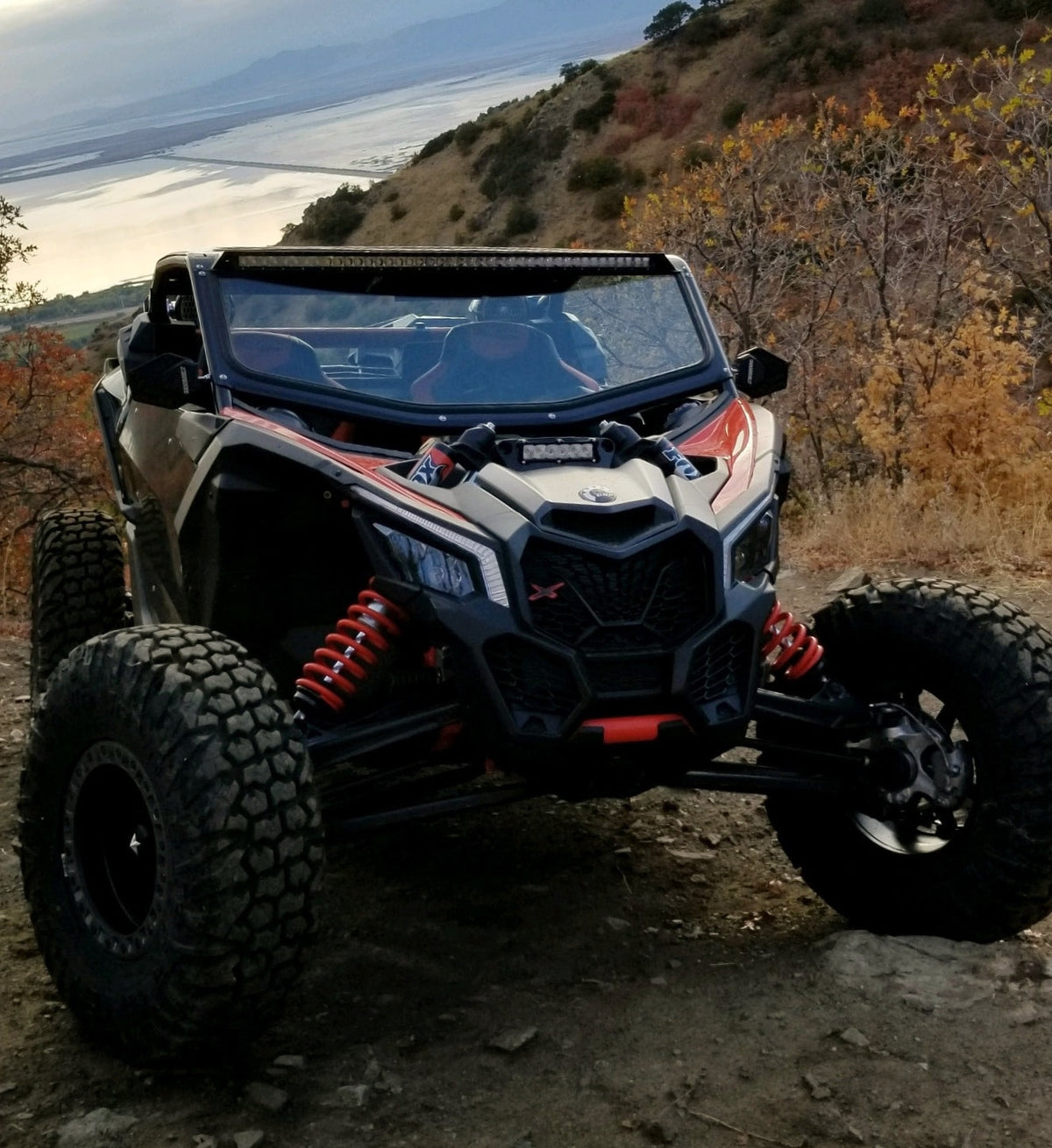 Frenched in Light Bar