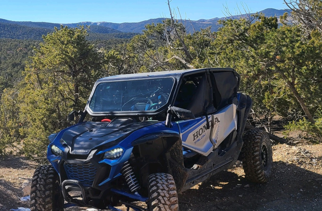 Honda Talon 4 Seat Cage