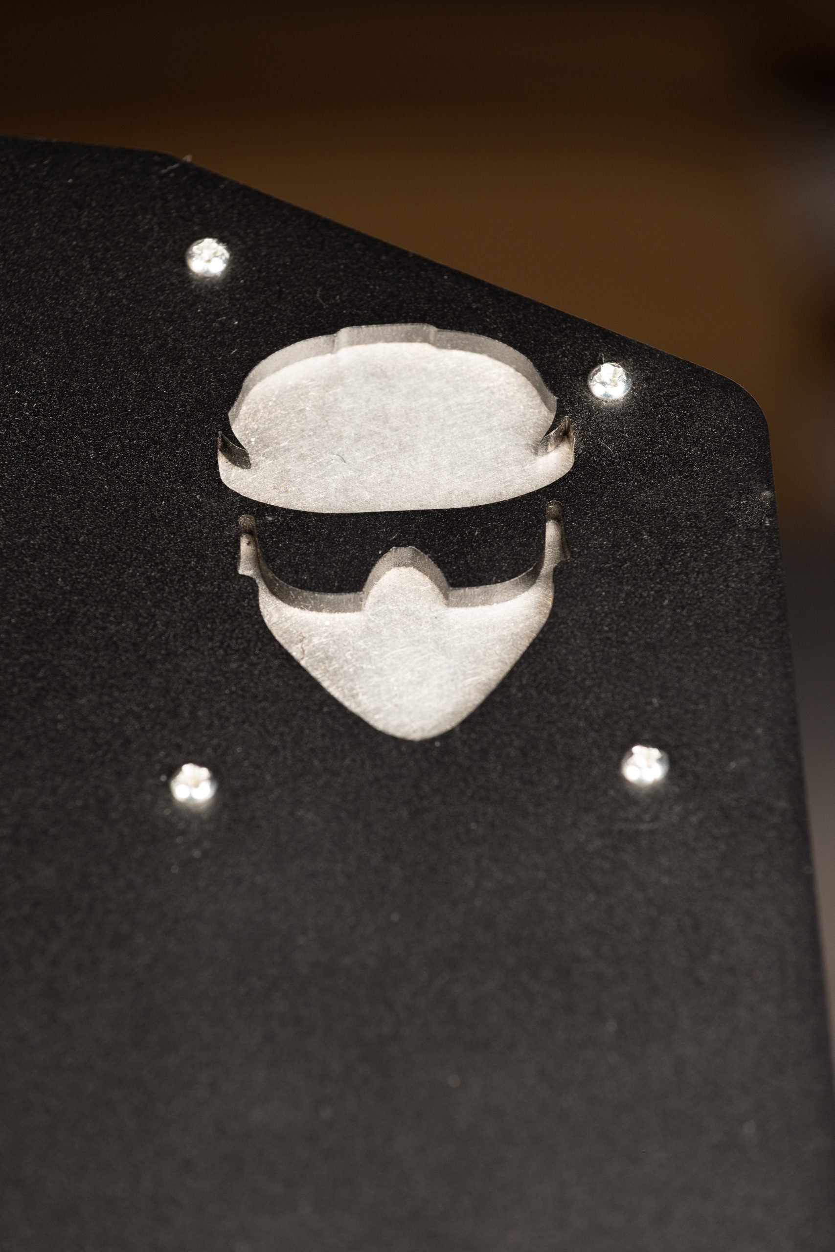 Black Ops Maverick R Fender Guards