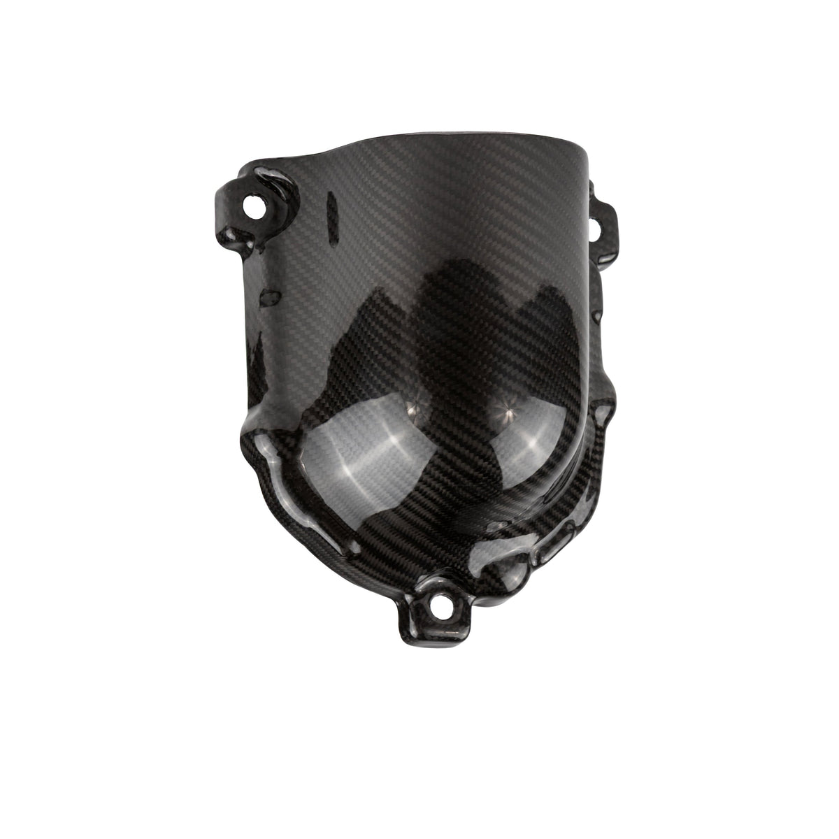 RPM Kawasaki H2 Carbon Fiber Supercharger Cover