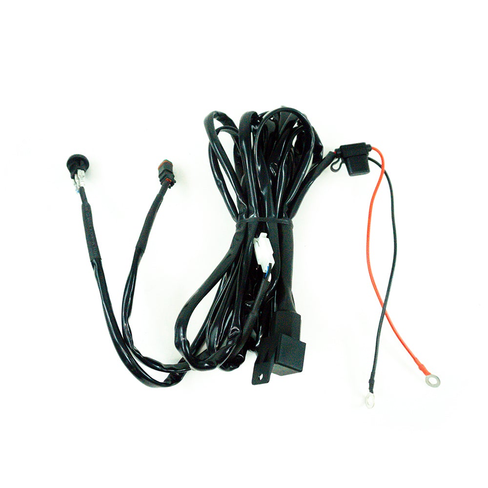 Wiring Harness: Dual Light/ Low Power - No Relay (up to 55W)