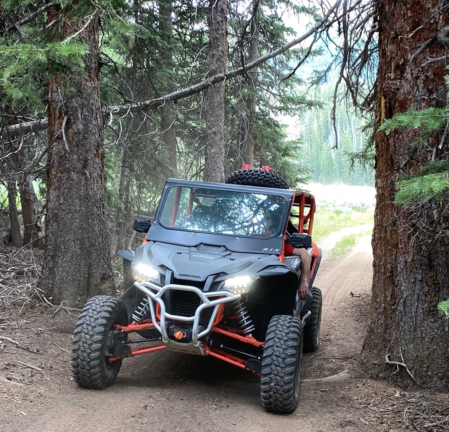 Honda Talon 4 Seat Cage