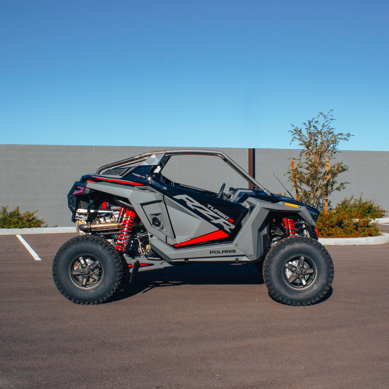 SDR Pro XP-2 Fastback Shorty Cage