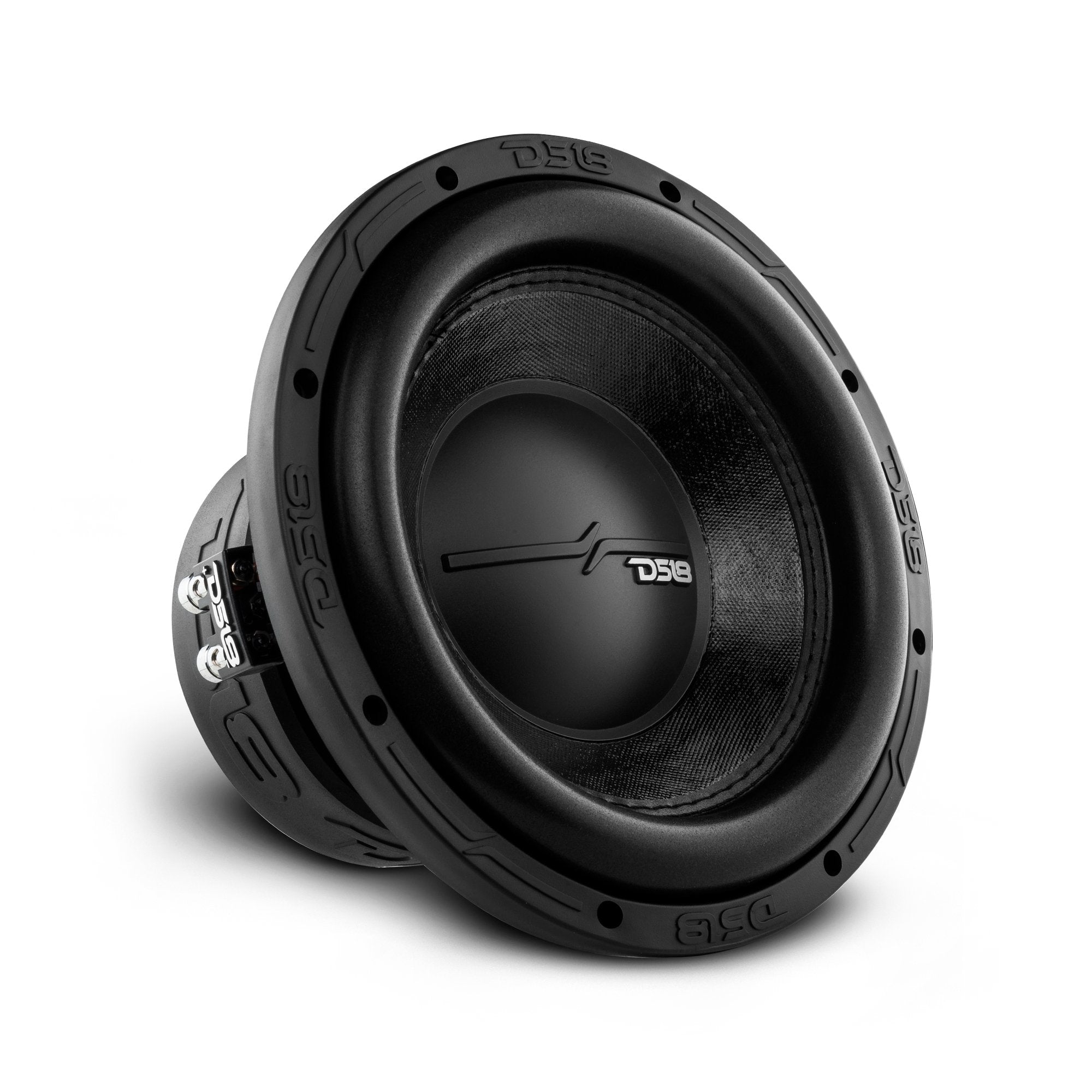 ZR 10" Subwoofer 700 Watts Rms DVC 2-Ohm
