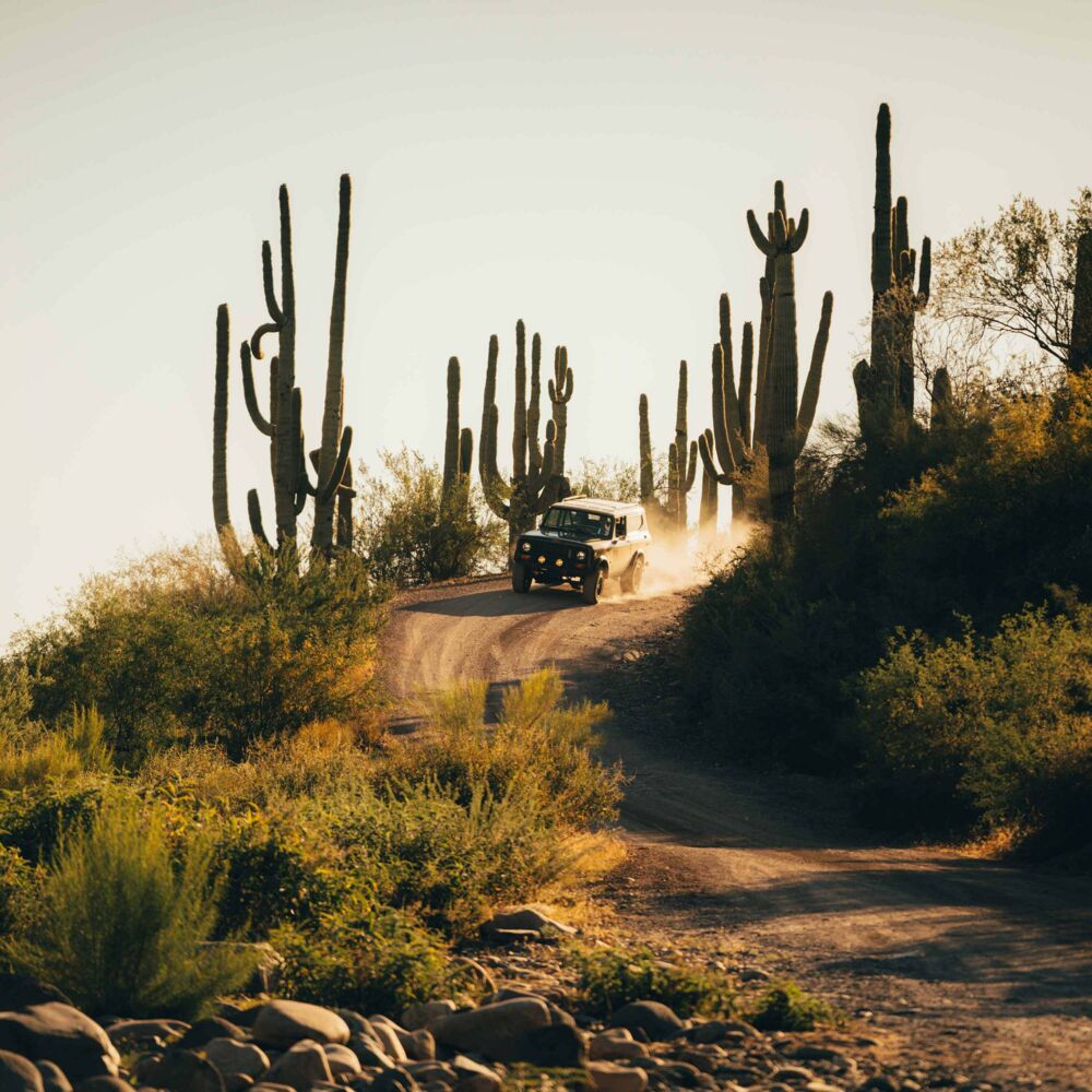 6" Apollo Pro - Stone Guard / Grill - # 7216