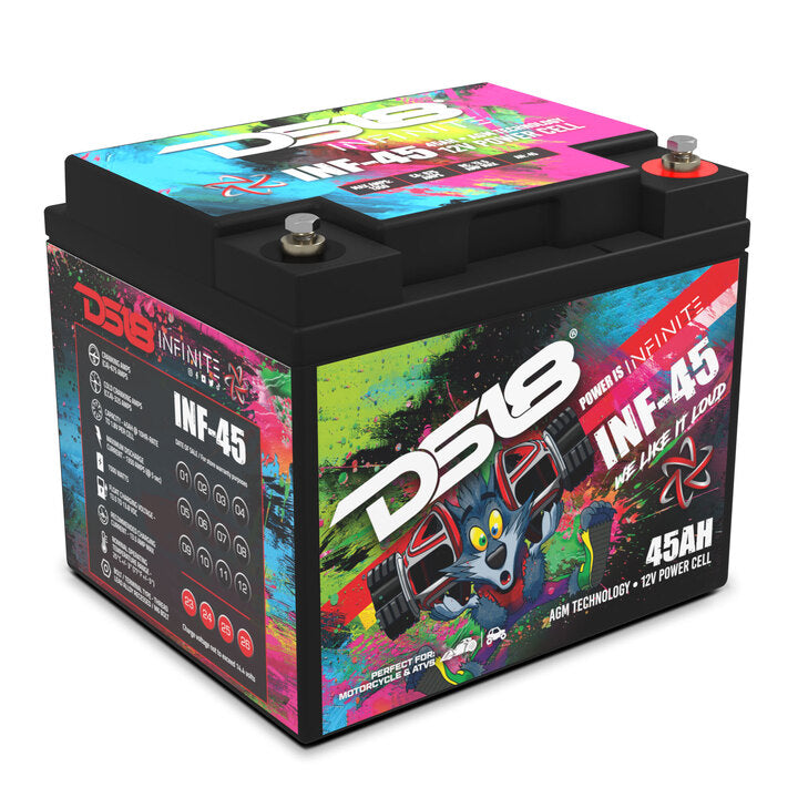 INFINITE 45 AH AGM Power Cell Battery