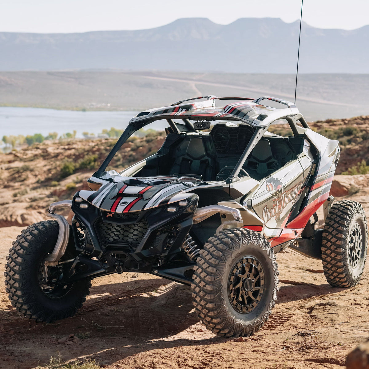 Shock Therapy Packages - Can-am Maverick R Models