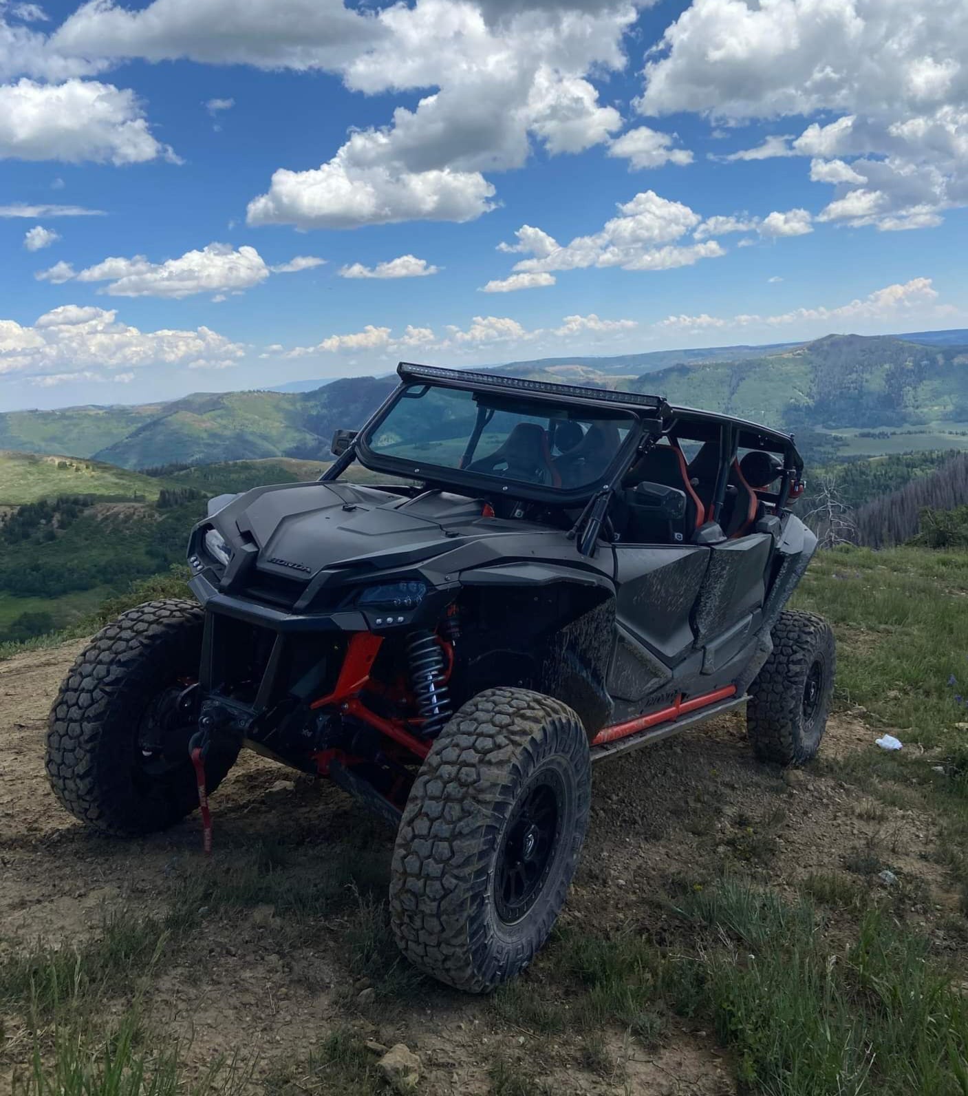 Honda Talon 4 Seat Cage