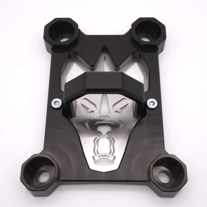 2022+ RZR PRO R / TURBO R / PRO S RADIUS ROD PLATE W/ TOW LOOP