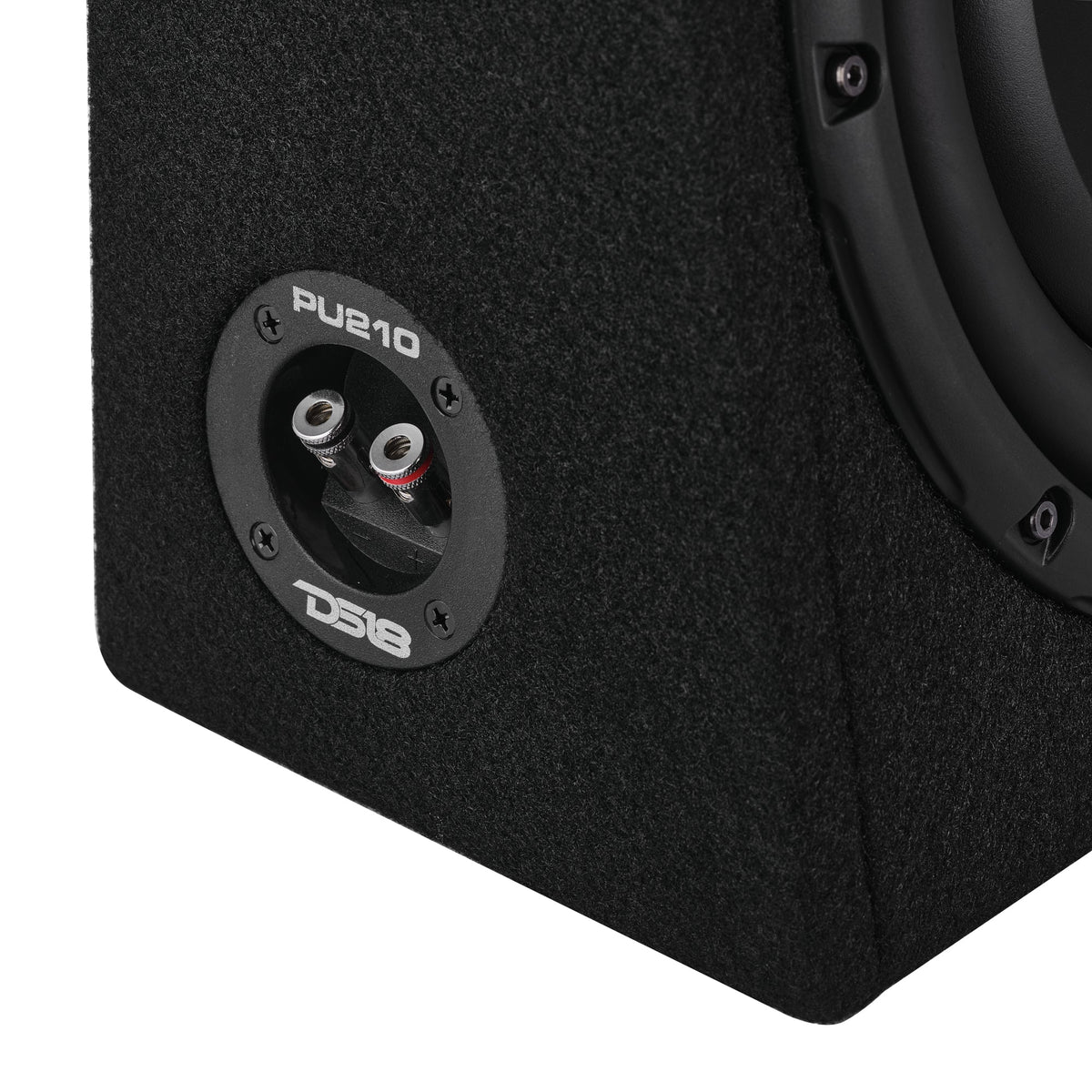 Loaded 10” Subwoofer + Passive Radiator Enclosure for Pickup Trucks