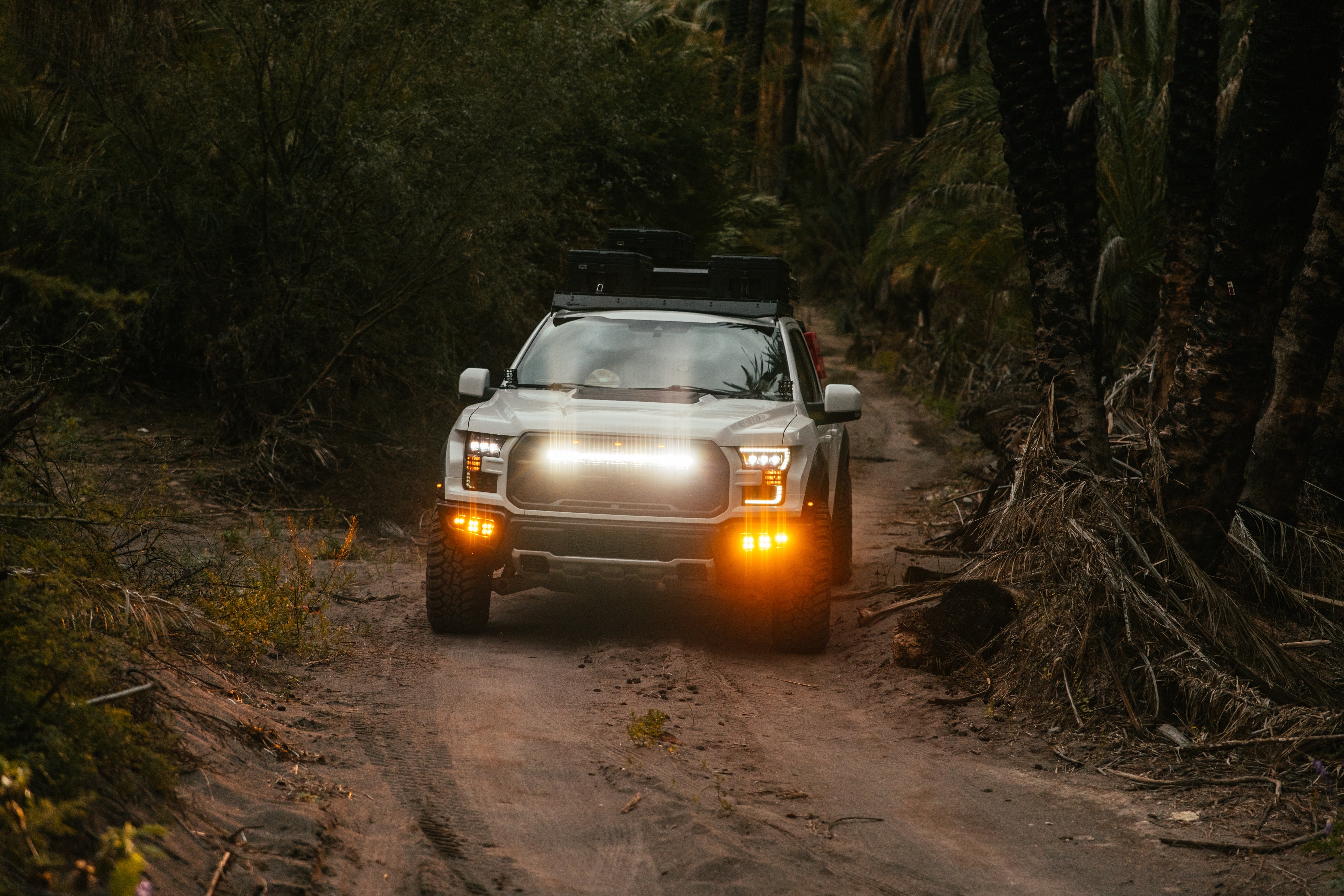 Ford F150 Raptor (2017-2021) - Behind The Grille 30" LED Light Bar - Clear Lens