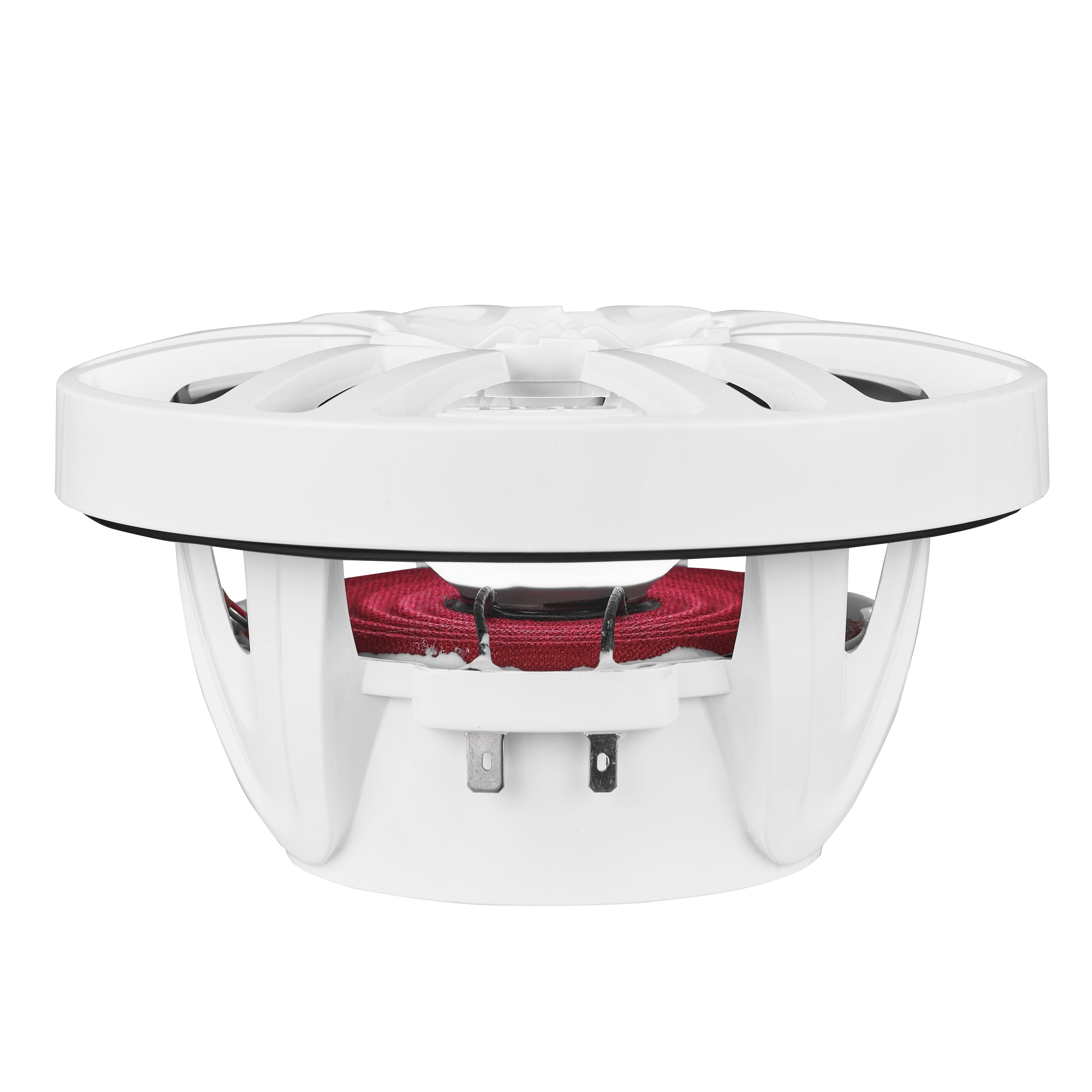 NXL 6.5" 2-Way Coaxial Marine Speaker With LED RGB Lights 100 Watts Rms 4-Ohm
