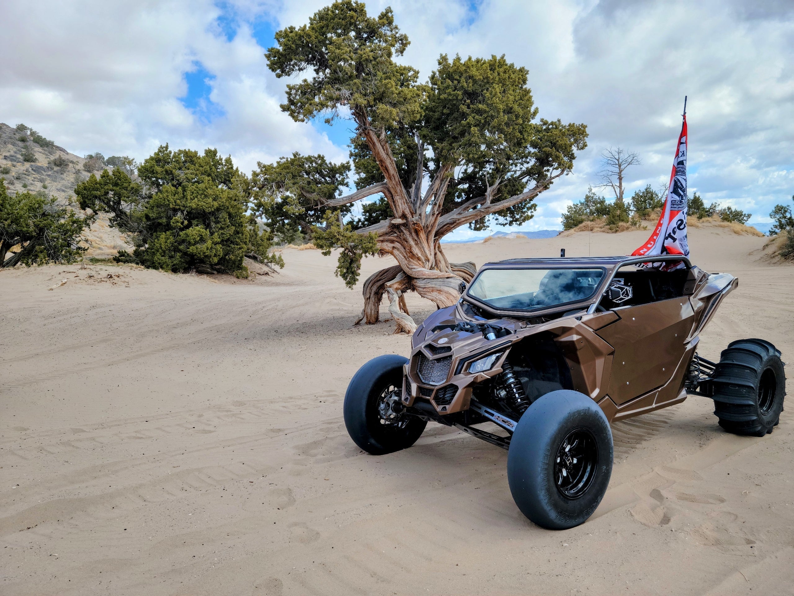 Can-Am X3 Cage