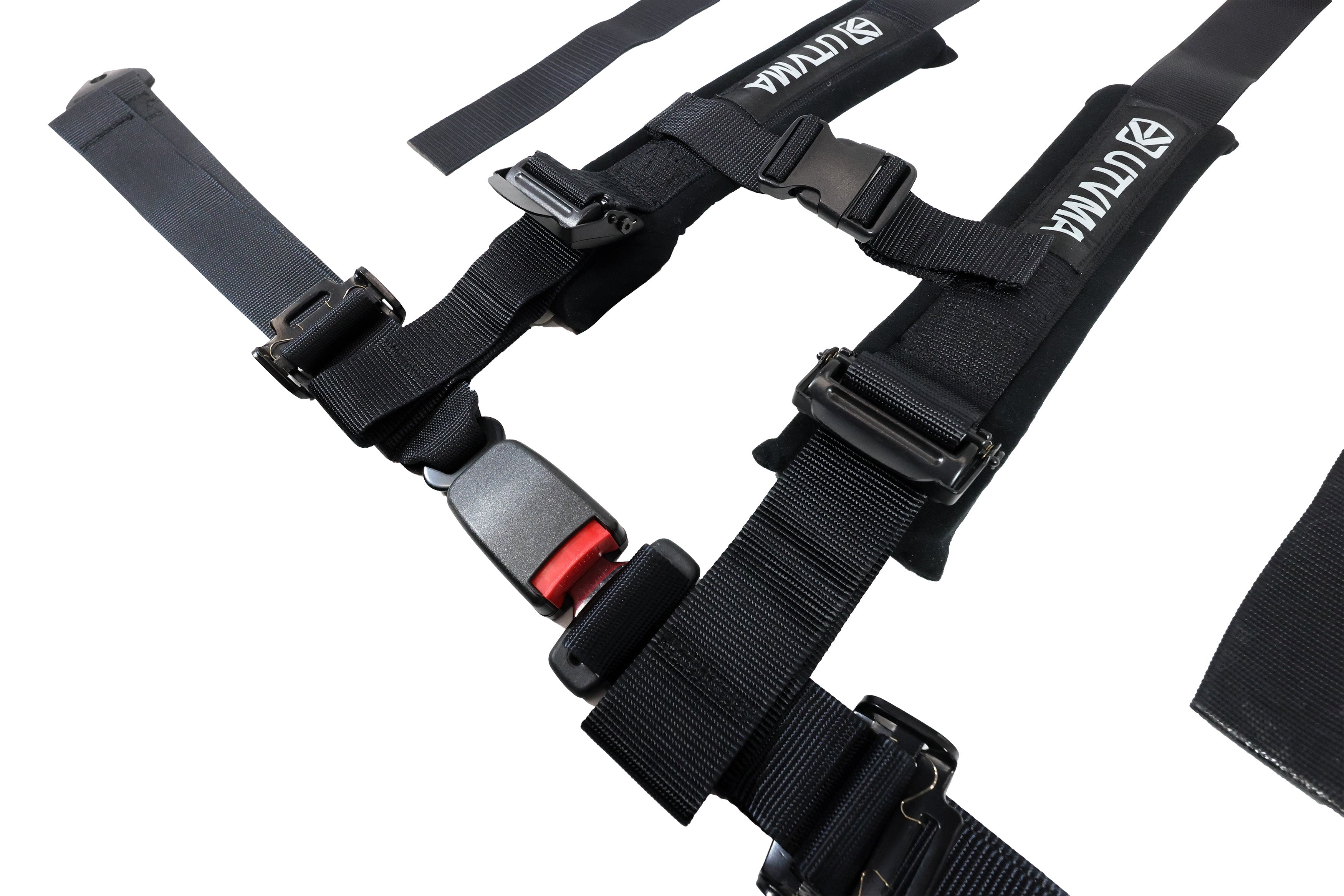 Two Harness Pack Auto Buckle with Harness Collars
