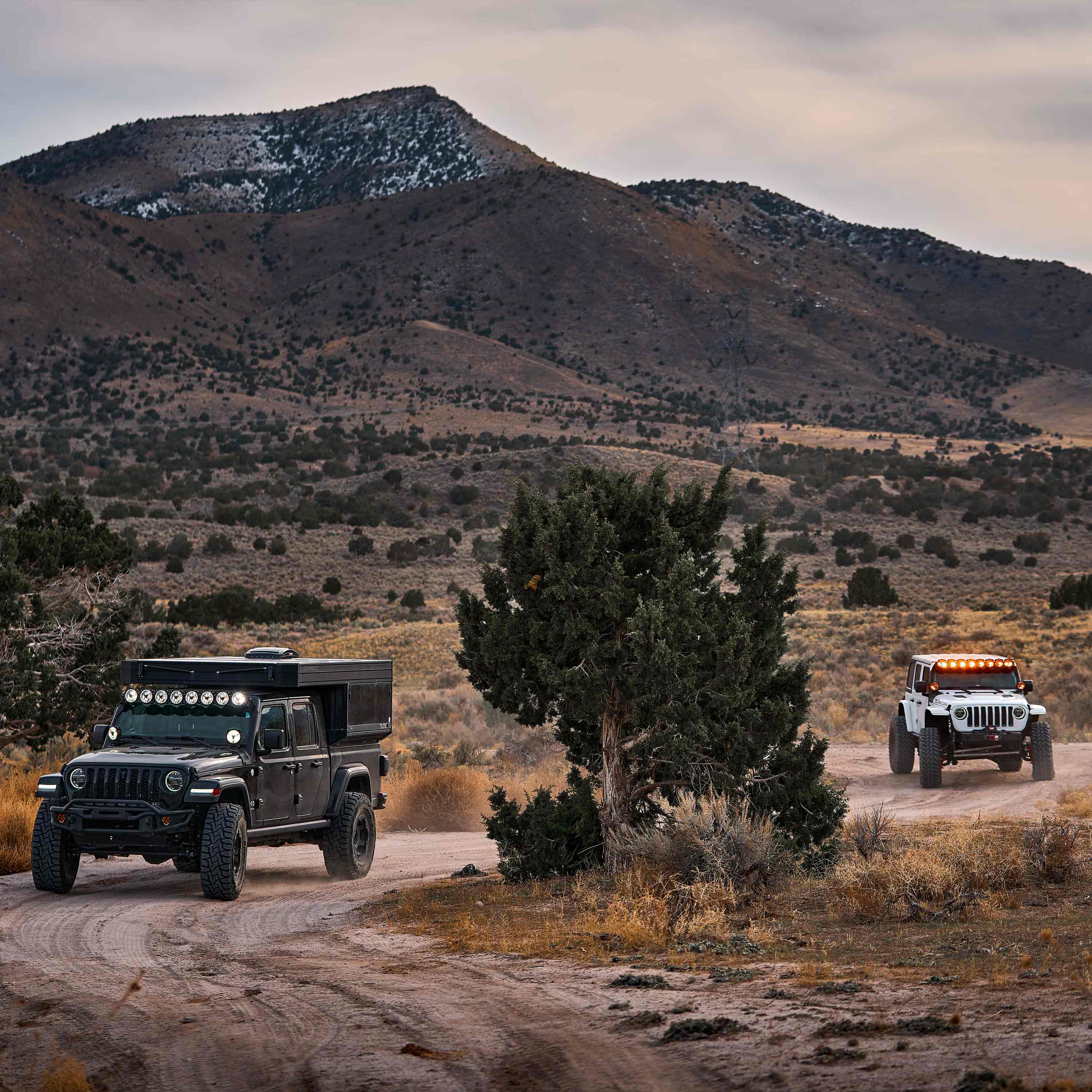 50" Gravity®️ Titan™ LED Light Bar - 8-Light - #91418