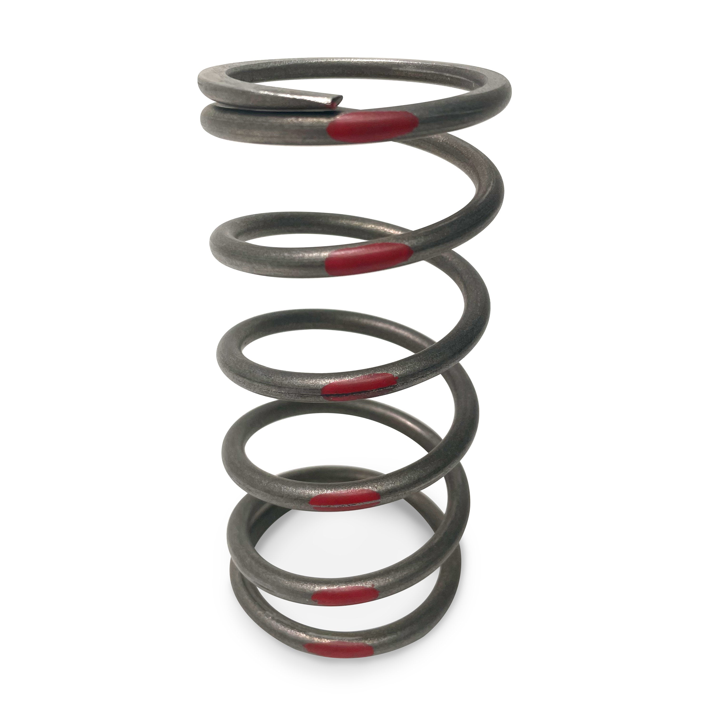 TAPP Primary Clutch Springs